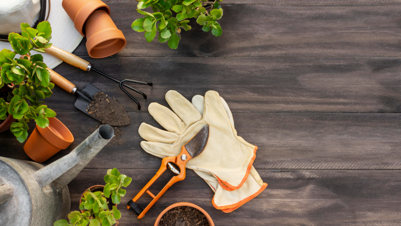 What Is Organic Gardening And Why Is It Done? Garden Machinery Suppliers Northampton and Northamptonshire